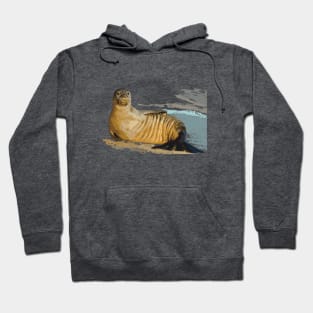 Hawaiian Monk Seal Hoodie